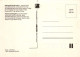 OISEAU Animaux Vintage Carte Postale CPSM #PBR487.A - Vögel