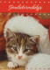 KATZE MIEZEKATZE Tier Vintage Ansichtskarte Postkarte CPSM #PBQ892.A - Cats