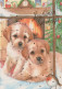 PERRO Animales Vintage Tarjeta Postal CPSM #PBQ514.A - Dogs