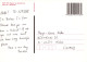 CHIEN Animaux Vintage Carte Postale CPSM #PBQ336.A - Hunde