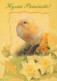 PÂQUES POULET ŒUF Vintage Carte Postale CPSM #PBP025.A - Easter