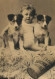 CHILDREN Portrait Vintage Postcard CPSM #PBU752.A - Retratos