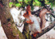 SQUIRREL Animals Vintage Postcard CPSM #PBS685.A - Other & Unclassified