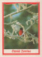 OISEAU Vintage Carte Postale CPSMPF #PKG957.A - Pájaros