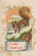 Happy New Year Christmas SQUIRREL Vintage Postcard CPSMPF #PKD715.A - Neujahr