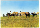 Deauville - Équitation Sur Le Mont Canisy - Deauville