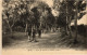 CPA AK Sfax Jeux De Boules Au Jardin Public TUNISIA (1404884) - Tunesien