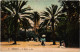 CPA AK Bizerte Le Square TUNISIA (1405352) - Tunisia
