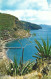 Carte Postale - Martinique - La Cote Caraïbe à Belle-Fontaine - Sonstige & Ohne Zuordnung