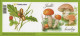 Booklet 984 - 985 Czech Republic Edible Mushrooms 2018 - Pilze