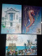 Lot Cartes Postales Monaco Musée Océanographique 1960 - Museo Oceanográfico