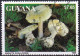 Timbre-poste Dentelé Oblitéré - Champignons Amanite Phalloïde Amanita Phalloides - N° 4136 (Michel) - Guyana 1993 - Guyana (1966-...)