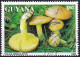 Timbre-poste Dentelé Oblitéré - Champignons Bolet Granulé Ou Pissacan Suilus Granulatus - N° 4138 (Michel) - Guyana 1993 - Guyana (1966-...)