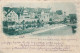 AK OLD POSTCARD GERMANIA - RIEDLINGEN (BLICK VOM DER DONAUBRUKE) - VIAGGIATA 1897 - A23 - Tuebingen