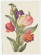 Postal Stationery Soviet Union 1958 Flower - Tulip - Andere & Zonder Classificatie