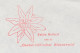 Meter Cover Netherlands 1971 Flower - Edelweiss - The Hague - Otros & Sin Clasificación