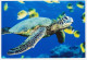 Postal Stationery China 2006 Turtle - Tortoise - Other & Unclassified