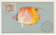 Maximum Card Mozambique 1952 Coral Fish - Pesci