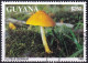 Timbre-poste Dentelé Oblitéré - Champignons Plutée Couleur De Lion Pluteus Leoninus - N° 4140 (Michel) - Guyana 1993 - Guyana (1966-...)