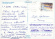 HIRSCH Tier Vintage Ansichtskarte Postkarte CPSM #PBS527.DE - Sonstige & Ohne Zuordnung