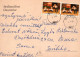 FLOWERS Vintage Ansichtskarte Postkarte CPSM #PAS151.DE - Fleurs