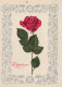 FLOWERS Vintage Ansichtskarte Postkarte CPSM #PAR730.DE - Bloemen