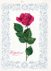 FLOWERS Vintage Ansichtskarte Postkarte CPSM #PAR730.DE - Flowers