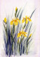 FLOWERS Vintage Ansichtskarte Postkarte CPSM #PAR490.DE - Fleurs