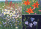 FLOWERS Vintage Ansichtskarte Postkarte CPSM #PAR610.DE - Flowers