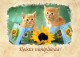 KATZE MIEZEKATZE Tier Vintage Ansichtskarte Postkarte CPSM #PAM420.DE - Chats