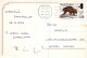 KATZE MIEZEKATZE Tier Vintage Ansichtskarte Postkarte CPSM #PAM357.DE - Chats