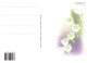 FLORES Vintage Tarjeta Postal CPSM #PBZ676.ES - Fleurs