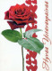FLORES Vintage Tarjeta Postal CPSM #PBZ860.ES - Flowers