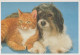 PERRO Animales Vintage Tarjeta Postal CPSM #PBQ503.ES - Chiens