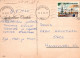 FLORES Vintage Tarjeta Postal CPSM #PAR968.ES - Flowers