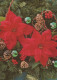 FLORES Vintage Tarjeta Postal CPSM #PAR788.ES - Flowers