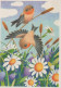 PÁJARO Animales Vintage Tarjeta Postal CPSM #PAN168.ES - Vogels