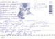 GATO GATITO Animales Vintage Tarjeta Postal CPSM #PAM291.ES - Chats