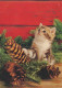 GATO GATITO Animales Vintage Tarjeta Postal CPSM #PAM169.ES - Katten