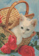 GATO GATITO Animales Vintage Tarjeta Postal CPSM #PAM107.ES - Cats