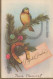 OISEAU Vintage Carte Postale CPSMPF #PKG972.FR - Vögel