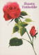 FLEURS Vintage Carte Postale CPSM #PBZ497.FR - Flowers