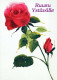 FLEURS Vintage Carte Postale CPSM #PBZ497.FR - Flowers