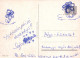 CHIEN Animaux Vintage Carte Postale CPSM #PBQ708.FR - Honden