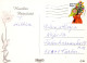 PÂQUES LAPIN Vintage Carte Postale CPSM #PBO538.FR - Ostern