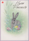 PÂQUES LAPIN Vintage Carte Postale CPSM #PBO474.FR - Easter