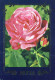 FLEURS Vintage Carte Postale CPSM #PAS330.FR - Flowers