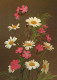 FLEURS Vintage Carte Postale CPSM #PAR248.FR - Bloemen