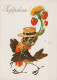 OISEAU Animaux Vintage Carte Postale CPSM #PAN354.FR - Birds