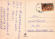 OISEAU Animaux Vintage Carte Postale CPSM #PAN232.FR - Vögel